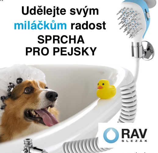 Sprcha pro pejsky